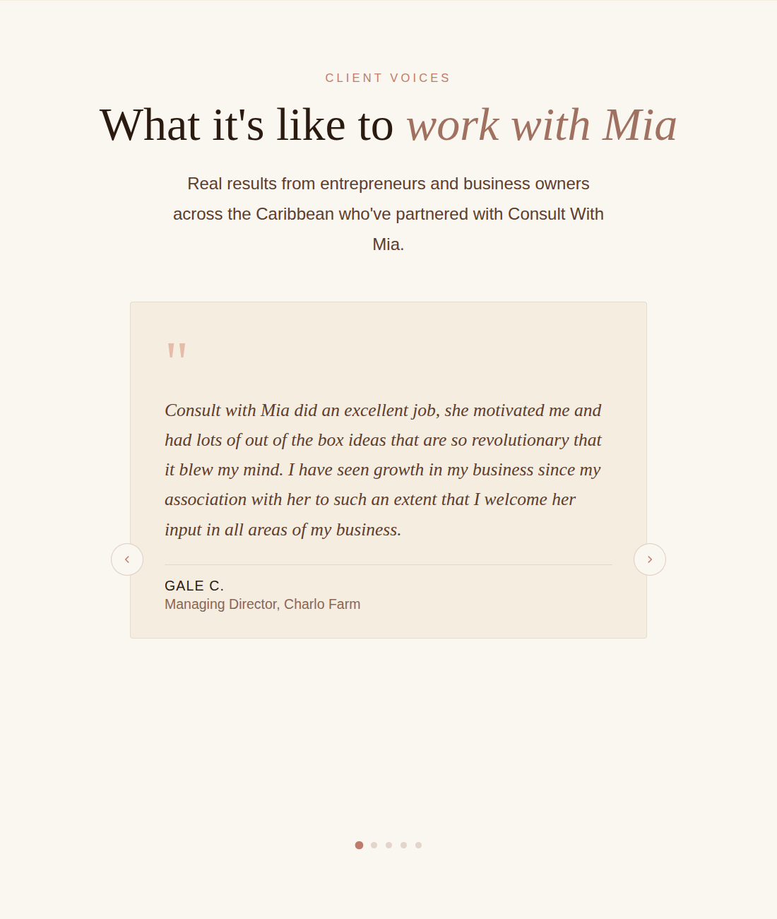 Consult With Mia testimonials slideshow
